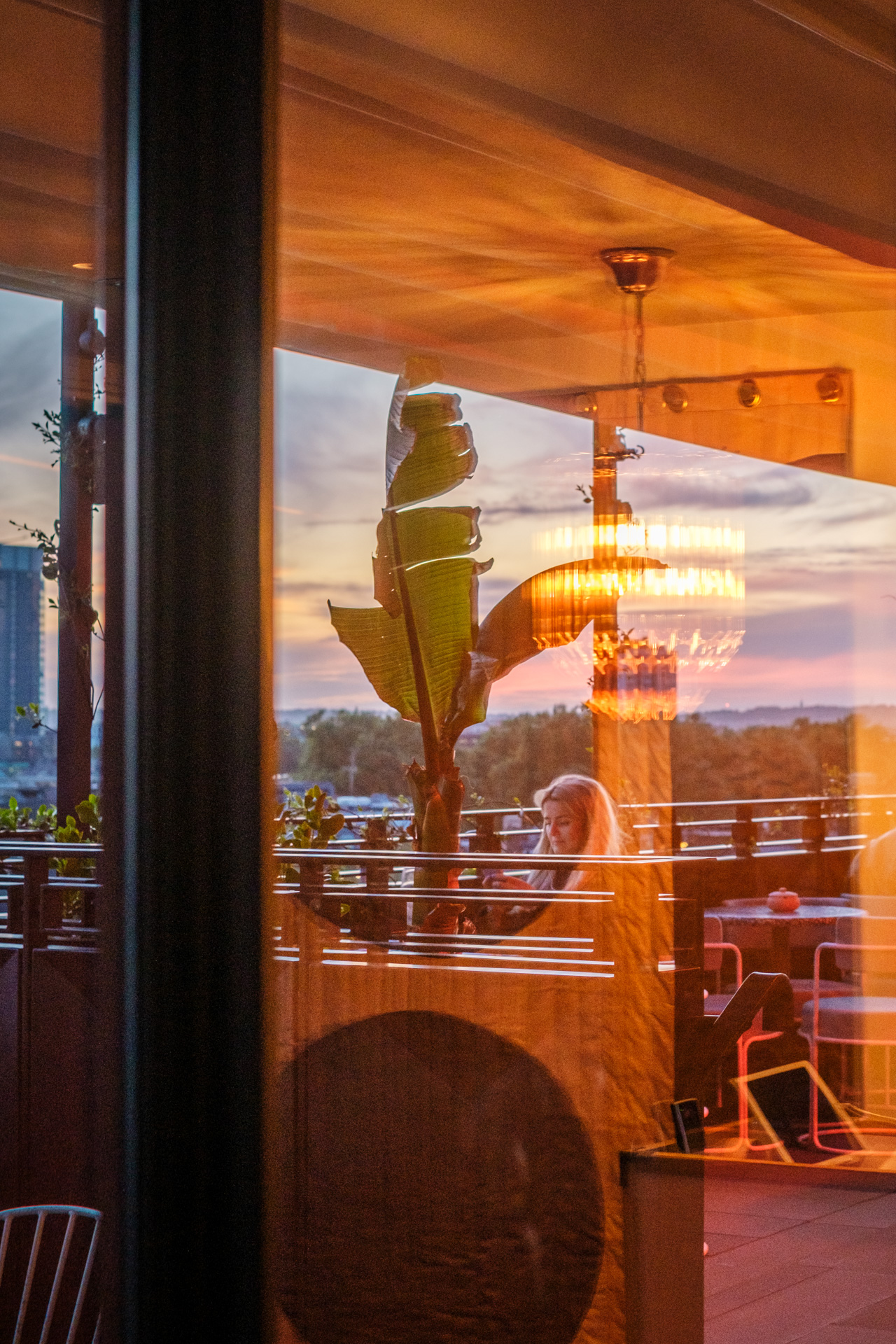 A woman sits on a London terrace at sunset, seen through a window, with a large plant and chandelier reflecting warm light.